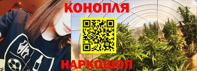 молекула духа Владивосток