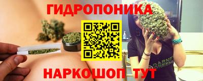 дурь Владимир