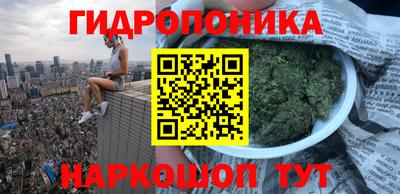 молекула духа Владивосток