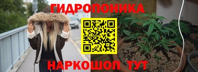 молекула духа Владивосток